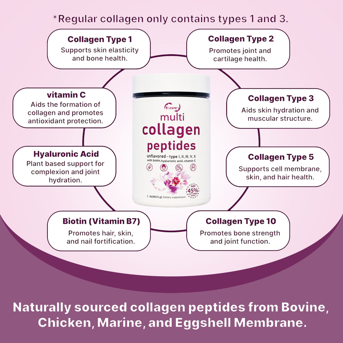 EOCUTE Multi Collagen Peptides Powder Pasture-Raised-Hydrolyzed Protein Peptides (Type l,l,lll,V,X)with HyaluronicAcid, Biotin   Vitamin C,1LB